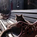 Meschermolen 4 Mesch