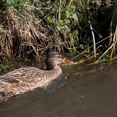 Meschermolen 4 Appartement Mesch