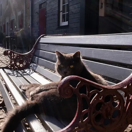 Meschermolen 4 Mesch