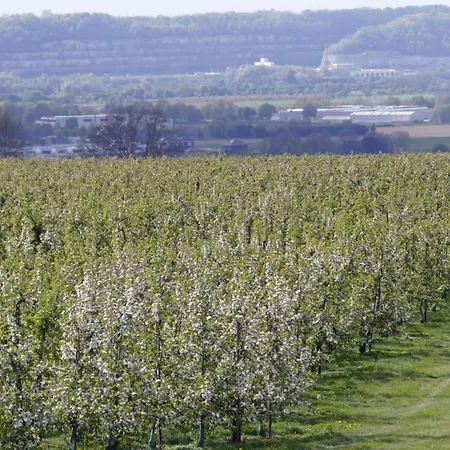 Meschermolen 4 Διαμέρισμα Mesch