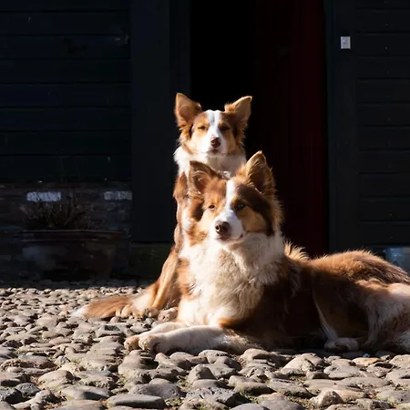 Meschermolen 4 Διαμέρισμα *