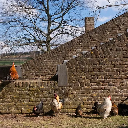 Meschermolen 4 Mesch