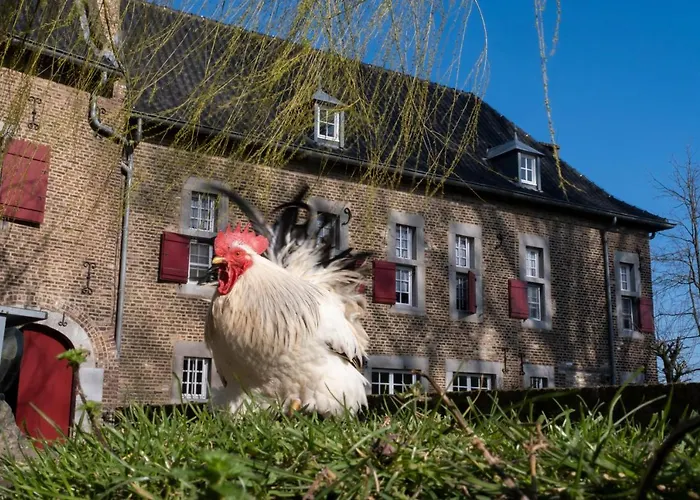 Апартаменты Meschermolen 4