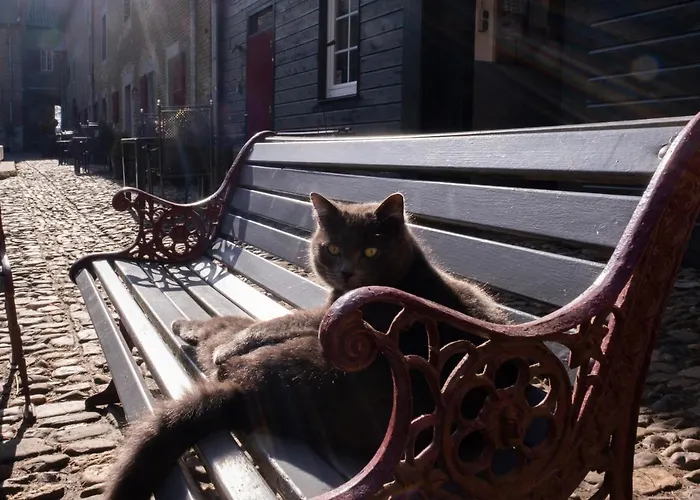 Meschermolen 4 Mesch