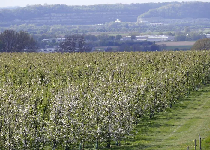 Meschermolen 4 Апартаменты Mesch