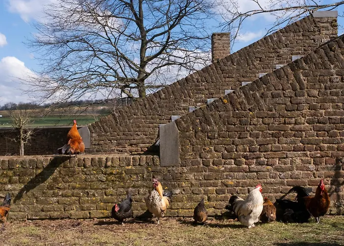 Meschermolen 4 Mesch