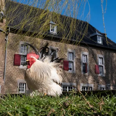 Apartment Meschermolen 4